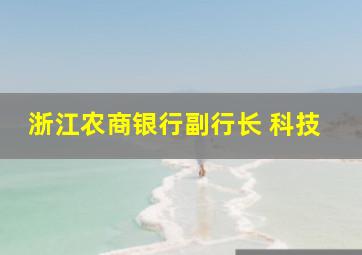 浙江农商银行副行长 科技